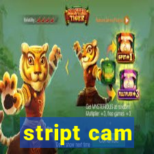 stript cam